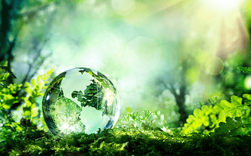 Master Professionnel d’Université: Ingénierie du Management Qualité, Hygiène, Sécurité et Environnement IM-QHSE